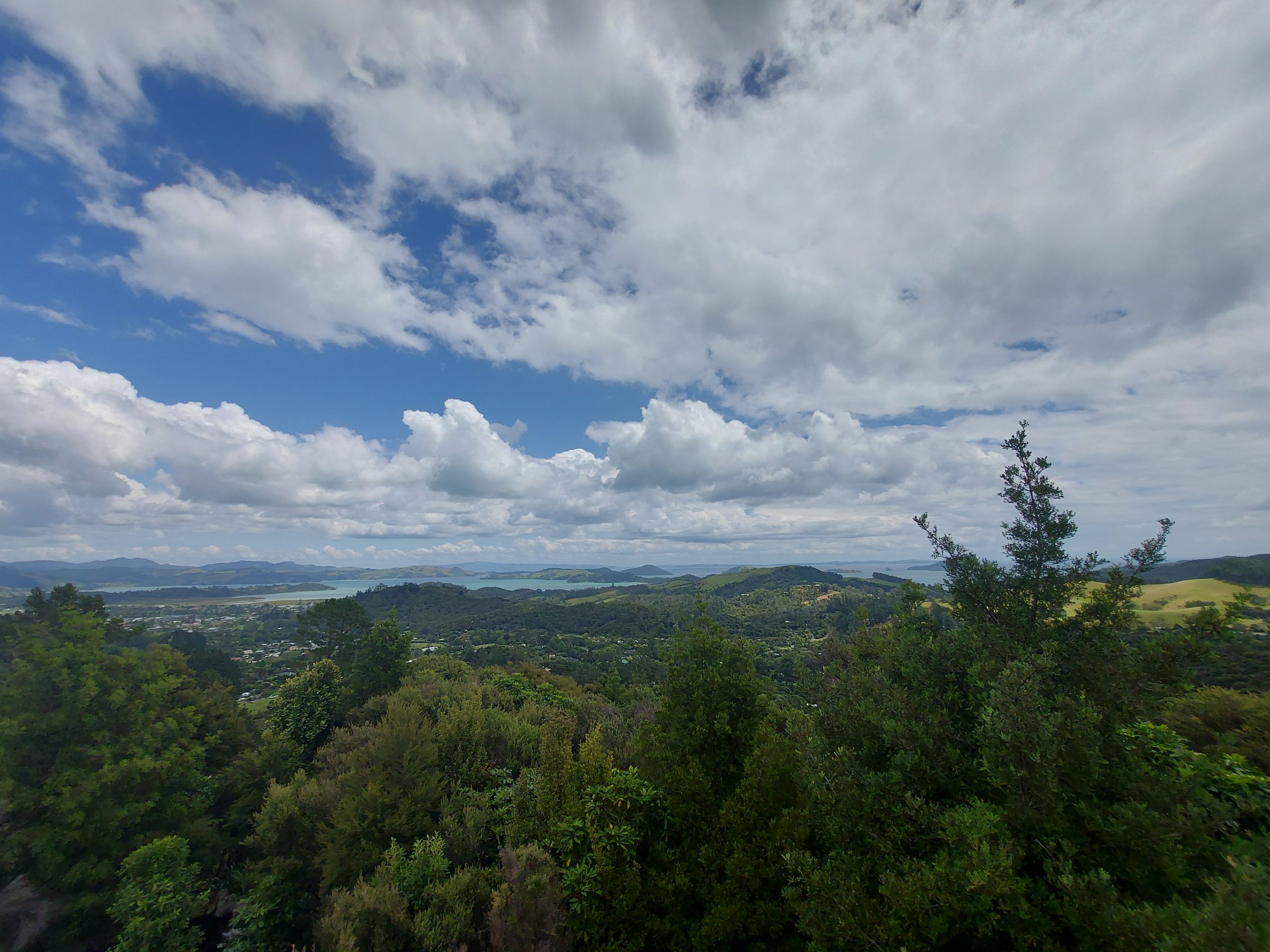 Coromandel